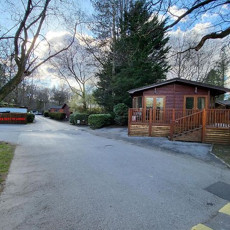 Cheerful 3 Bedroom Lodge At White Cross Bay Windermere Exterior foto